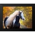 thumbnail image 2 of PHBurchett 18x15 Black Modern Framed Museum Art Print Titled - Golden Lit Horse III, 2 of 5