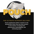 thumbnail image 5 of Fully Loaded Alpha Nootropic Pouches (Mint flavor) 5-pack, 15 pouches per can - ALPHA GPC, TYROSINE, GABA, 5 of 6