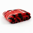 thumbnail image 4 of College Covers Everything Comfy Nebraska Cornhuskers Soft Raschel Throw Blanket, 60" x 50", 4 of 6