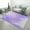 Flannel-1, variant on Purple Agate Slice Art Area Rugs Soft Carpet Suitable for Living Room Kitchen Bedroom Laundry Room Home Decorations