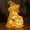 A, variant on GFHFHITJ Halloween Dachshund Ghost Lamp, French Glowing Ghost Dog Figurine, Cute Halloween Decoration Nightlight for Dog Lovers Quirky Decor Bedroom