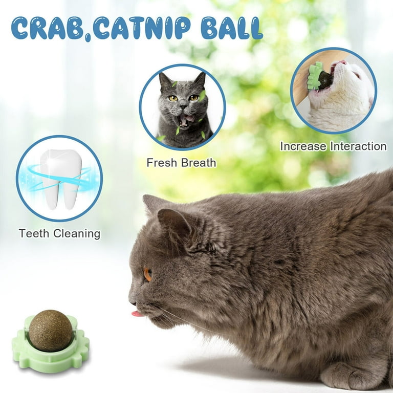 Innens Rotatable Catnip Wall Ball Cat Teeth Cleaning Toys Edible Licking  Treats Toys - Walmart.com