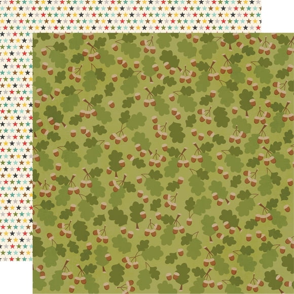 Historias simples Simple Stories FRON12-17983