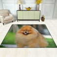 thumbnail image 3 of Coolnut Pomeranian Smile Lightweight Carpet Mats, 6'8" x 4'10" Area Soft Rugs Floor Mat Rug Home Decoration for Kids Room Living Room, 80"x 58", 3 of 6