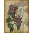 thumbnail image 2 of Studio W 19x24 Gold Ornate Wood Framed with Double Matting Museum Art Print Titled - Fuchsia Flowers II, 2 of 4