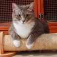 thumbnail image 4 of RENACLIPY 1 Roll of Multi Purpose Cat Sisal Rope for DIY Projects and Furniture Use, 4 of 7
