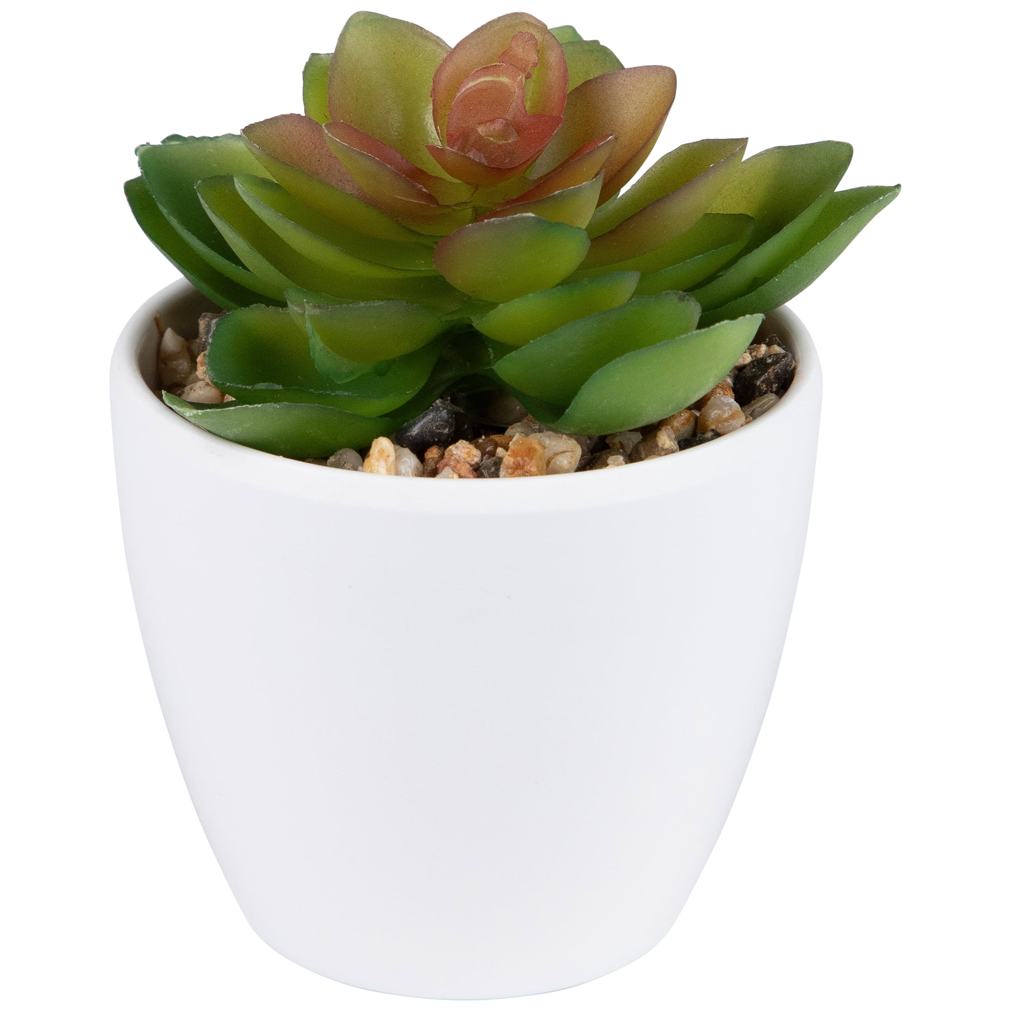 Northlight Mini White Potted Artificial Succulent Plant - 4"