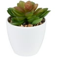 thumbnail image 2 of Northlight Mini White Potted Artificial Succulent Plant - 4", 2 of 7