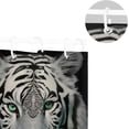 thumbnail image 5 of FREEAMG White Tiger with Green Eyes Shower Curtain Waterproof Fabric with 12 Hooks Bathroom Decorative Bath Curtain Set Polyester Fabric Machine Washable 60 x 72 Inch, 5 of 6