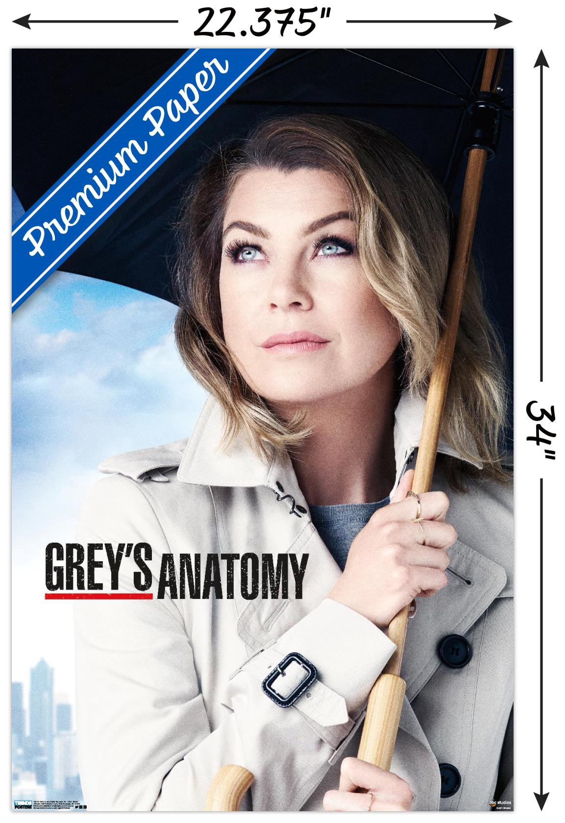 Grey's Anatomy Season 12 - One Sheet Wall Poster, 22.375" x 34"