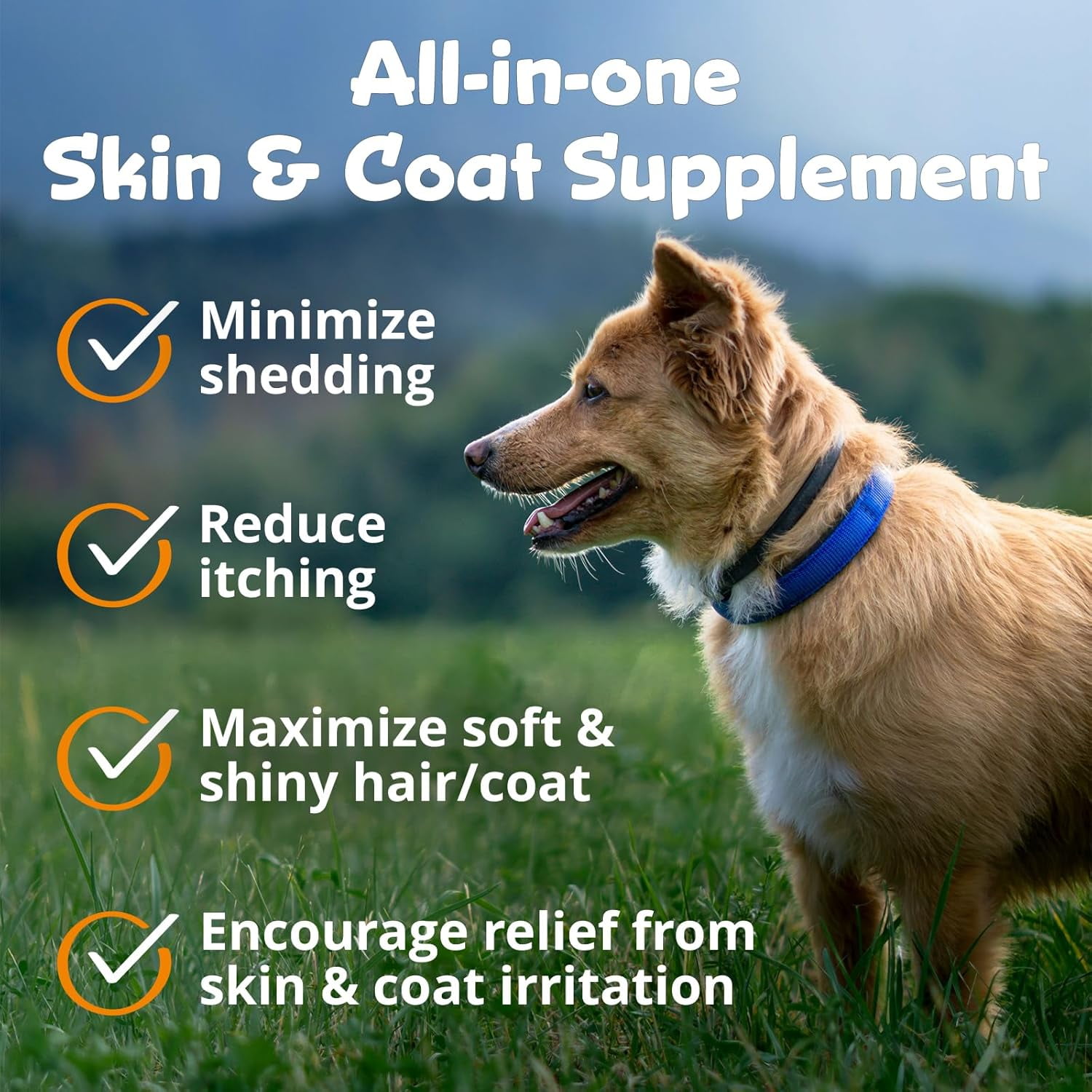 Kala Health PeakTails Skin & Coat Support for Dogs – 150 Chewable Tablets with MSM, Fish Oil, Omega-3 & Omega-6 – Supports Healthy Skin, Shiny Coat