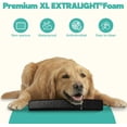 thumbnail image 3 of The Cushion Dog  Window Chin Rest for Cool, Safe & Comfortable Rides - Dog Car Accessories - Foam, Secure Fit, Waterproof, Easy Clean Travel Cushion, 3 of 8