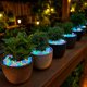 thumbnail image 3 of Colorful Luminous Garden Luminous Outdoor Decoration Luminous Fish Tank Aquarium Decoration, 3 of 7