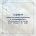 thumbnail image 7 of Trace Minerals Mega-Mag - Liquid Magnesium Supplement for Vitality & Energy Support - Muscle, Bone & Nerve Health - Natural Daily Drops - Non-GMO, Vegan & Gluten-Free - 4 fl oz (30 Servings), 7 of 7