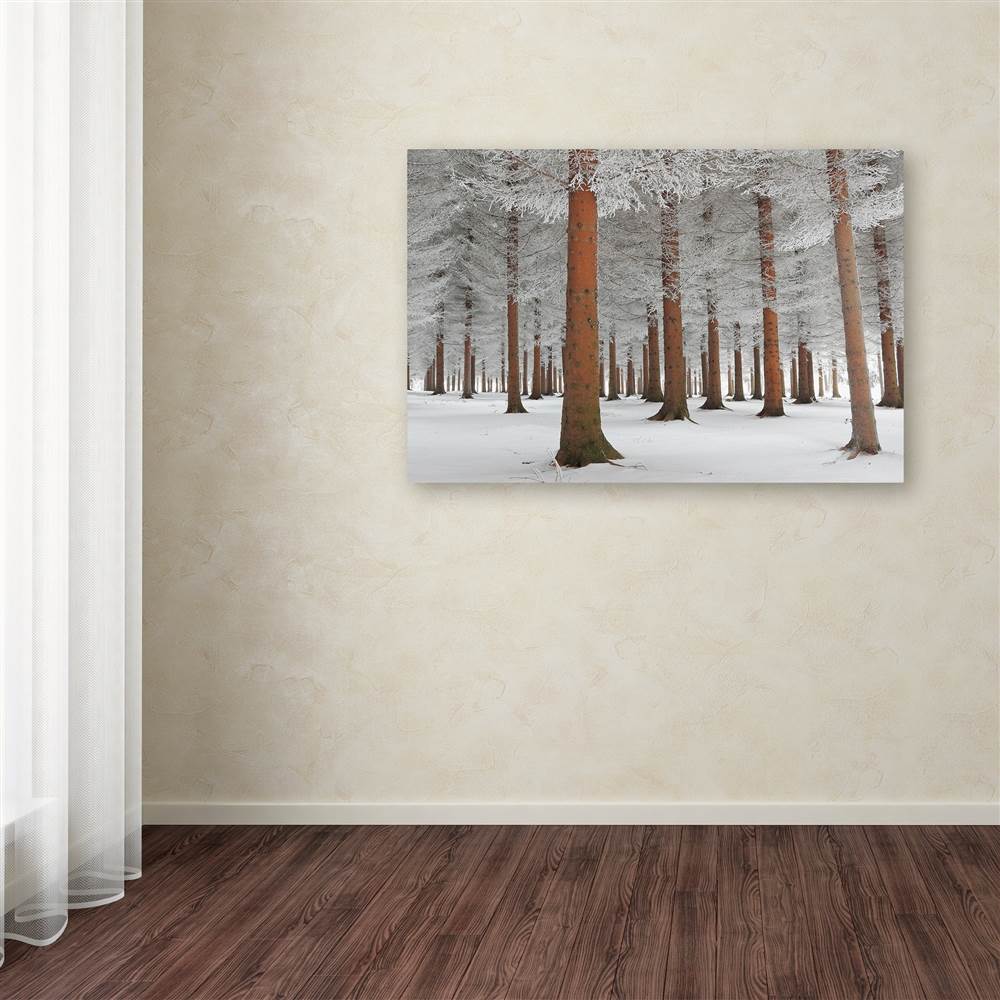 Trademark Fine Art 'In White' Canvas Art by Dragisa Petrovic