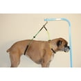 thumbnail image 3 of Downtown Pet Supply No Sit Grooming Loop Restraint for Dog Grooming, Dual Loop S/M, 3 of 8