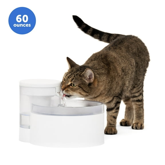 PetSafe Outlast Pumpless Cat Water Fountain 60 oz, Dishwasher Safe, Easy Assembly