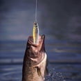 thumbnail image 2 of 3D Impreso 7.4cm 30g Señuelos de pesca falsos biónicos Cebo artificial (Oro) Likrtyny Para estrenar, 2 of 6