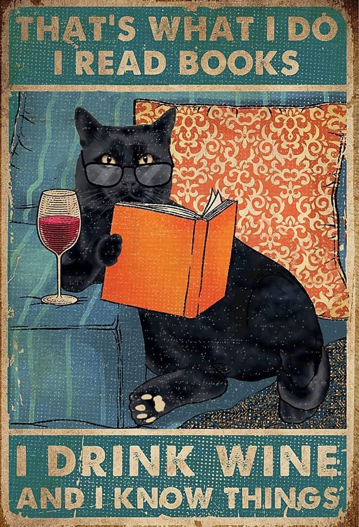 NAIMOER Harry Peinture Diamant Adulte, Diamond Painting Hedwige Complet, Chouette Diamond