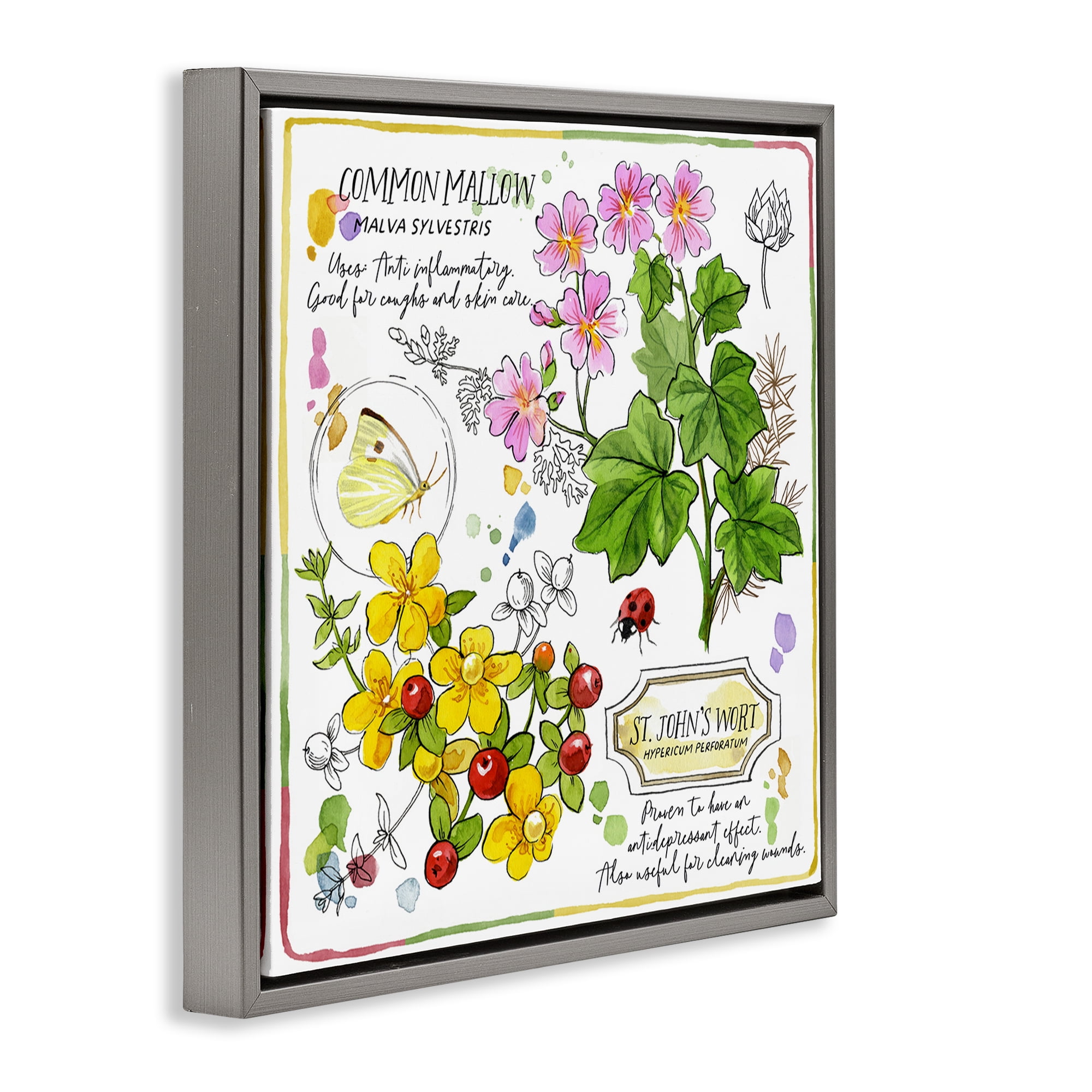 Stupell Industries Wild Herbs Benefits Plants & Flowers Painting Gray Floater Framed Canvas Art Print Wall Art, 18 x 18