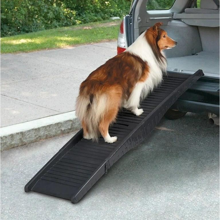 Ramps and Steps for Aging Dogs That Need Assistance Pets with - Main Image