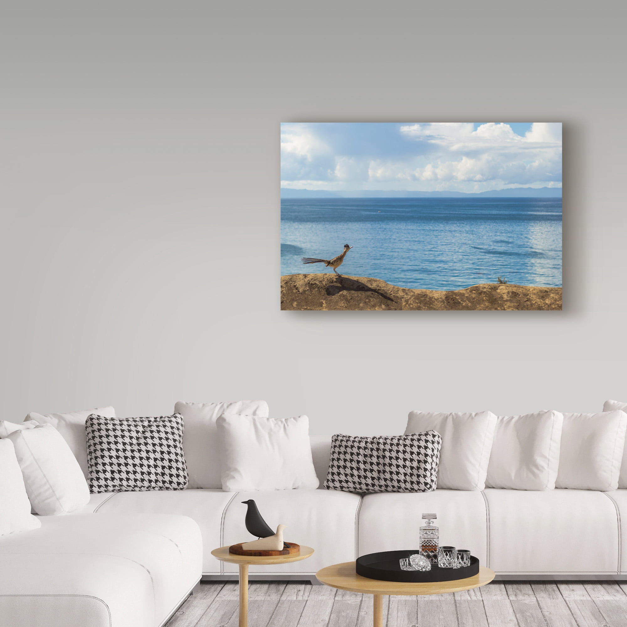 Trademark Fine Art 'Road Runner View' Canvas Art by Chris Moyer