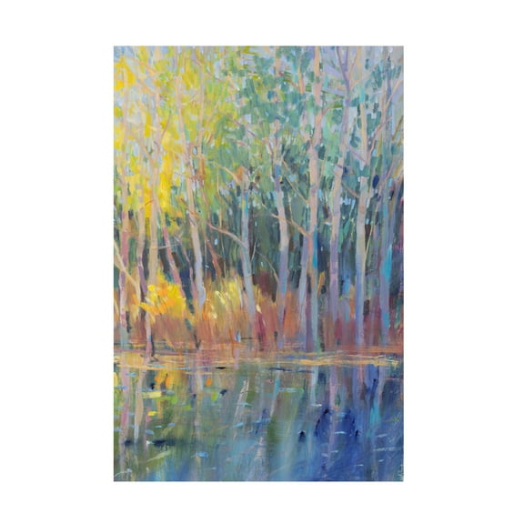 Tim OToole 'Reflected Trees I' Canvas Art