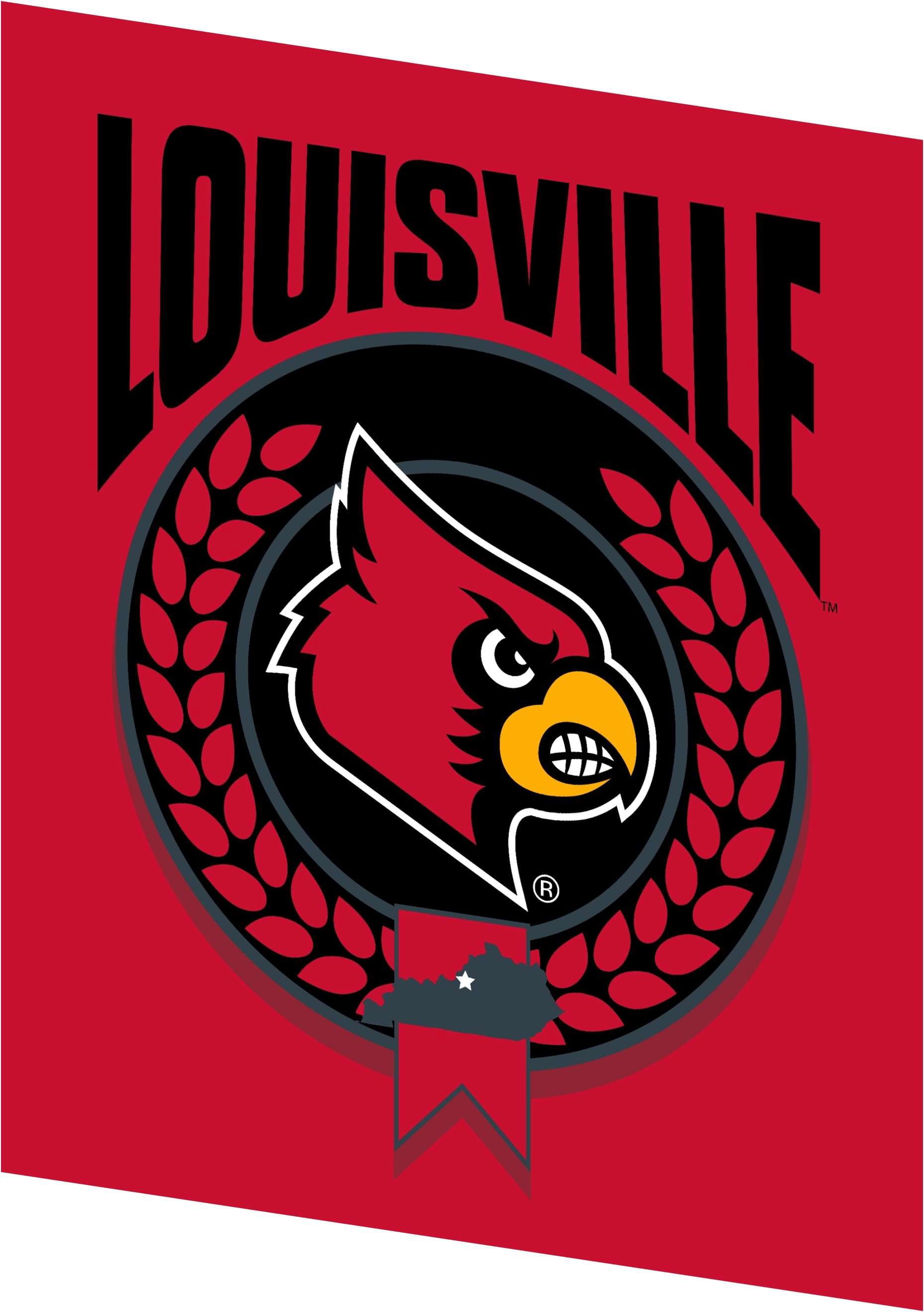 Louisville NCAA Apex Silk Touch Sherpa Throw 50x60 inches