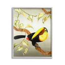 Stupell Industries Toucan Perched on Branch Animals & Insects Painting Gray Framed Art Print Wall Art, 16 x 20