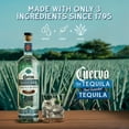 thumbnail image 3 of Jose Cuervo Tradicional Blanco Blanco Tequila, 750 ml Glass Bottle, 40% ABV, 3 of 7