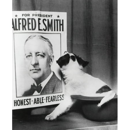 A Comic Moment In Alfred E SmithS 1928 Presidential Campaign The Small Dog Sitting In Derby Was Presented To Smith Independent League Of Illinois In Chicago