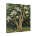 thumbnail image 2 of Magnolia of Abstraction - Canvas, 2 of 10