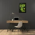 thumbnail image 4 of Malvin, Larry 17x24 Black Modern Framed Museum Art Print Titled - Cloud Forest Foliage I, 4 of 5