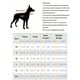 thumbnail image 4 of 1pc Stripe Vest Suitable For Puppy And Small Dog, Indoor And Outdoor Use, 4 of 4