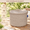 Brow, variant on White & Pink 14.21 x 11.57 x 5.75 in Extra Large Decorative Cotton Rope Storage Basket with Lid
