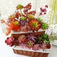 thumbnail image 2 of 1 Pcs Mixed Artificial Succulent Flowers Plants Decor Stems Faux Succulents Plants Bulk Assorted Picks for Home Decor Indoor Wall Garden DIY Home Office Garden Bonsai Decor, 2 of 8