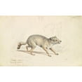 thumbnail image 2 of Charles Hamilton Smith 24x16 Gold Ornate Framed and Double Matted Museum Art Print Titled - Wild Dog of Natolla (1837), 2 of 4