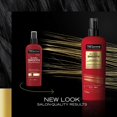 thumbnail image 3 of Tresemmé Heat Protect Spray Keratin Smooth 8 fl oz - Pack of 2 & Lotus Biscoff Cookie - 0.2 Oz - 1 ct, 3 of 5