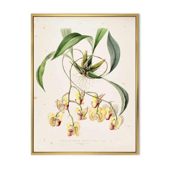Designart 'Blossoming Vintage Flower I' Traditional Framed Canvas Wall Art Print