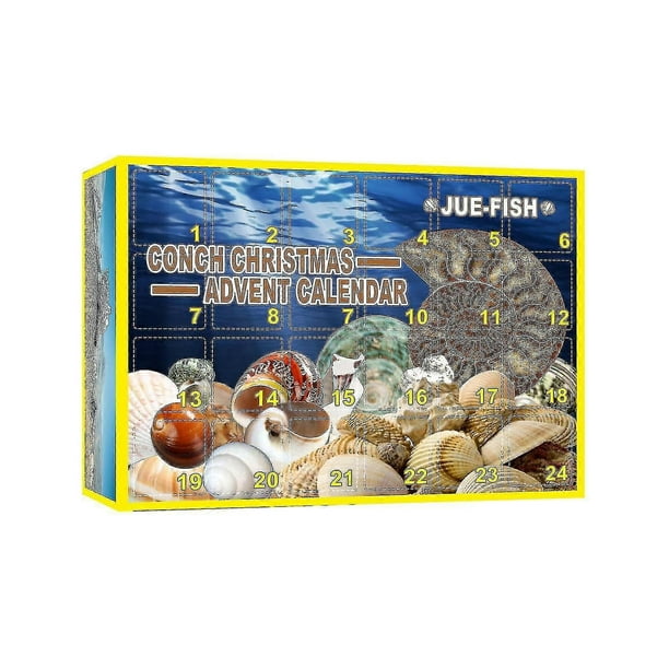 Jue-fish Conch Blind Box Christmas Conch Blind Box Christmas 24 Days Blind Box Gift Box