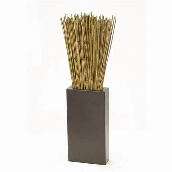 Disttive Designs 3067 Unisex Basil Reeds in Tall Black Vase - Green