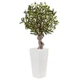 thumbnail image 2 of Nearly Natural 5831 3.5 ft. Olive Tree in White Tower Planter, 2 of 3