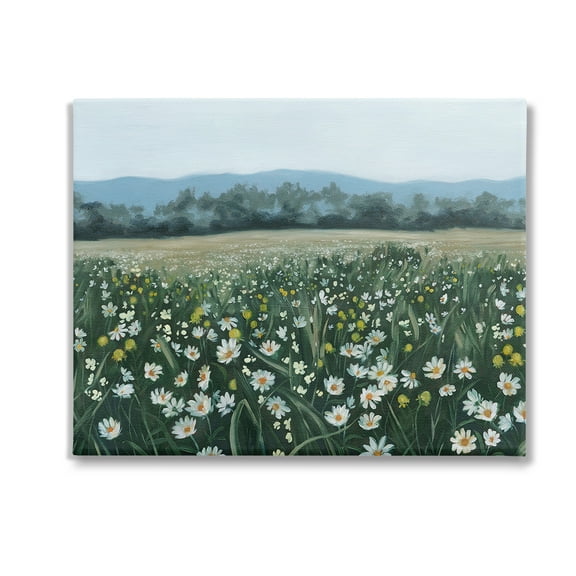 Stupell Industries Traditional Daisy Meadow Landscape Painting Gallery Wrapped Canvas Art Print Wall Art, 20 x 16