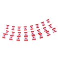 thumbnail image 2 of 30 Piezas 10 M EE. UU. Francés Australia Canadá Bandera Cadena Banderines Decoración de BLESIY País Bandera Bunting, 2 of 5