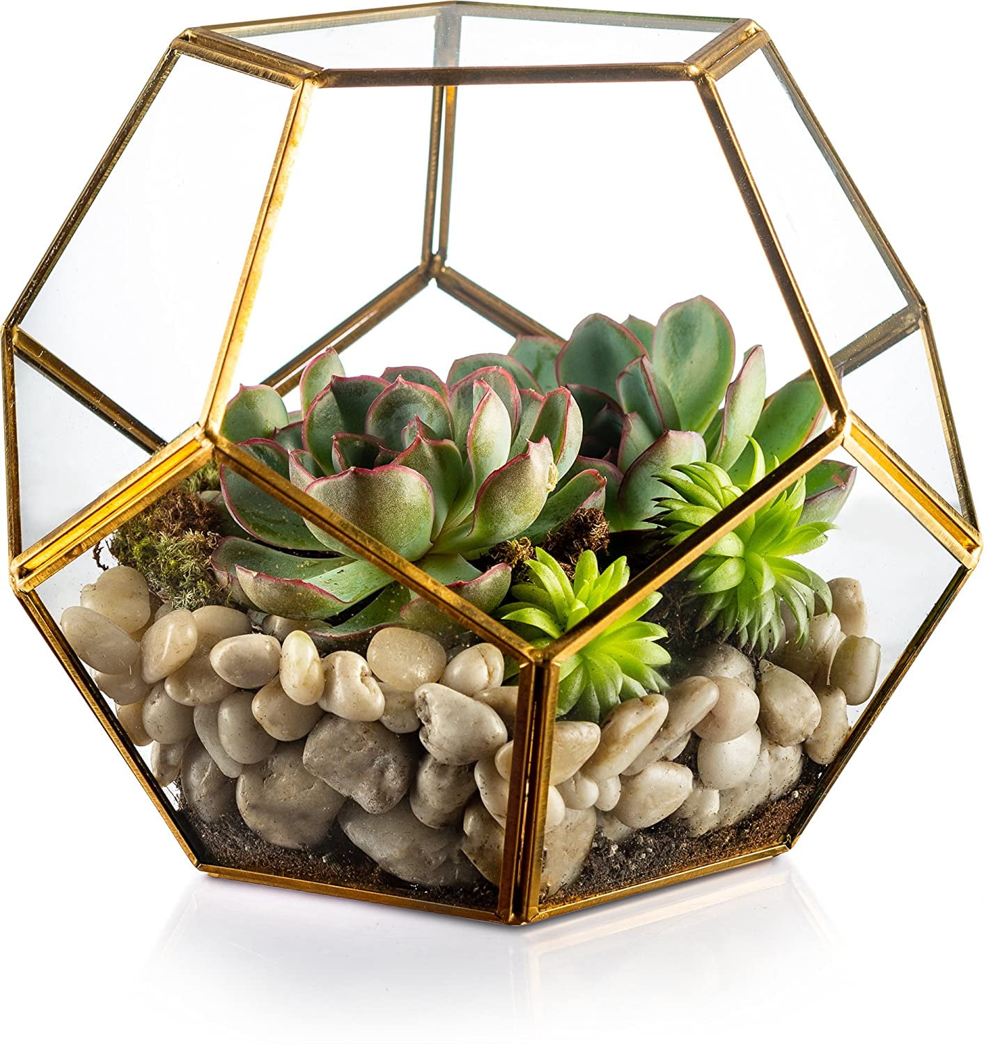 Metal+Glass Geometric Terrarium Succulent Plant Planter Pot Box Tea Light Holder 
