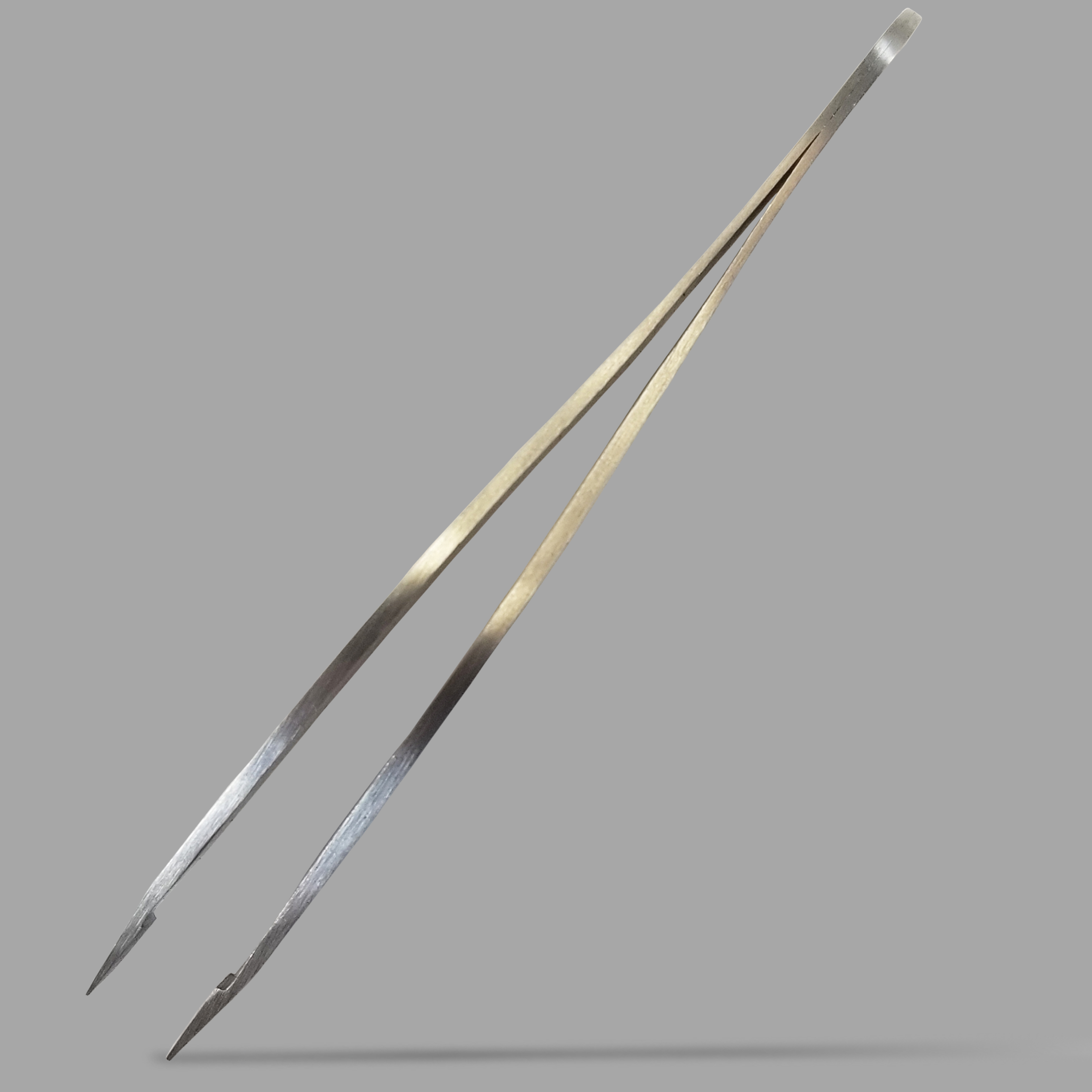 Zizzili Basics Elite Series Slanted Tweezers | Surgical Grade Stainless Steel |Sharp Precision Tips | Satin Finish
