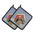 thumbnail image 1 of Carolines Treasures BB2856PTHD Collection Maison de Chien Pekingnese Tan Paire de Porte-Pots, 1 of 3