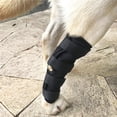 thumbnail image 3 of Billuyoard Dog Hock Brace Pet Supporting Rear Dog Compression Leg Joint Wrap protege heridas y lesiones Ropa para mascotas talla M Billuyoard PT001495-01, 3 of 6