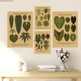 thumbnail image 4 of Póster de ilustración botánica, carteles de Papel Kraft de hojas de plantas y flores, decoración Vintage para el hogar, habitación, Bar, cafetería, arte estético, pintura de pared, 4 of 4
