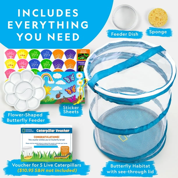 Nat Geo Butterfly Kit for Preschool Classroom Learning - Walmart